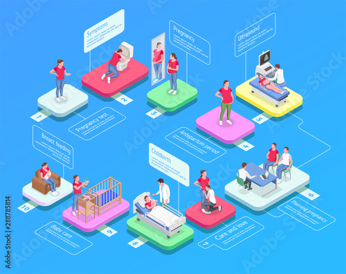 Pregnancy Isometric Flowchart