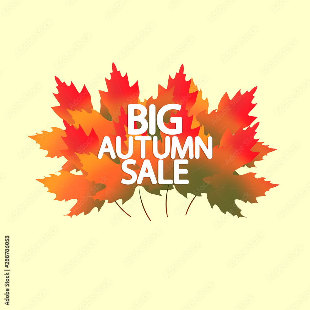 Big Autumn Sale, banner design template, discount tag, Fall offer, app icon, vector illustration