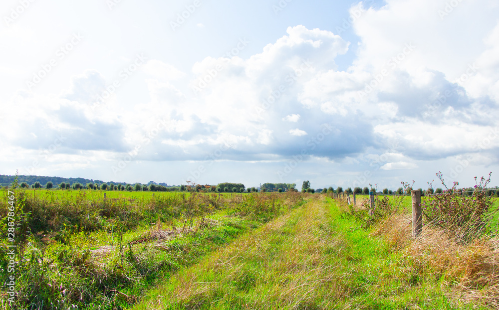 Fototapeta premium Path between dutch landscapes