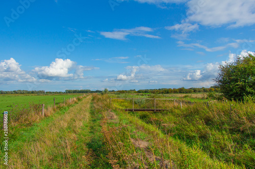 Path between dutch landscapes