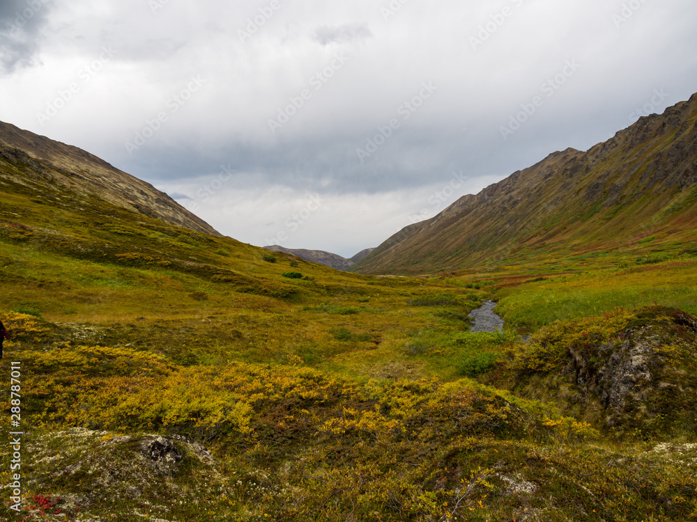 Alaskan Autumn Landscape, Colorful Tundra in Valley