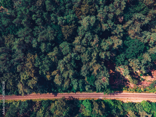 train line in a green forest from a drone view