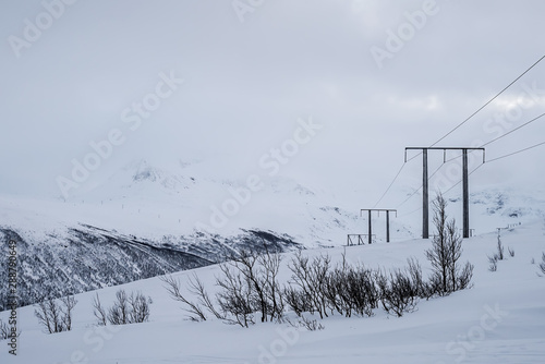 Obraz na płótnie Electric poles in the snow w salonie