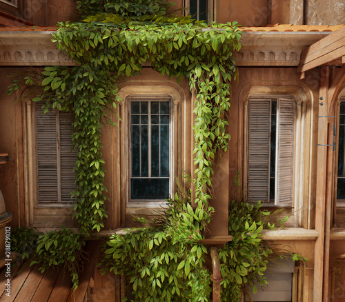 Wooden old building climbing plant house window