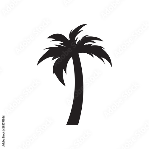 Palm tree graphic design template vector isolated