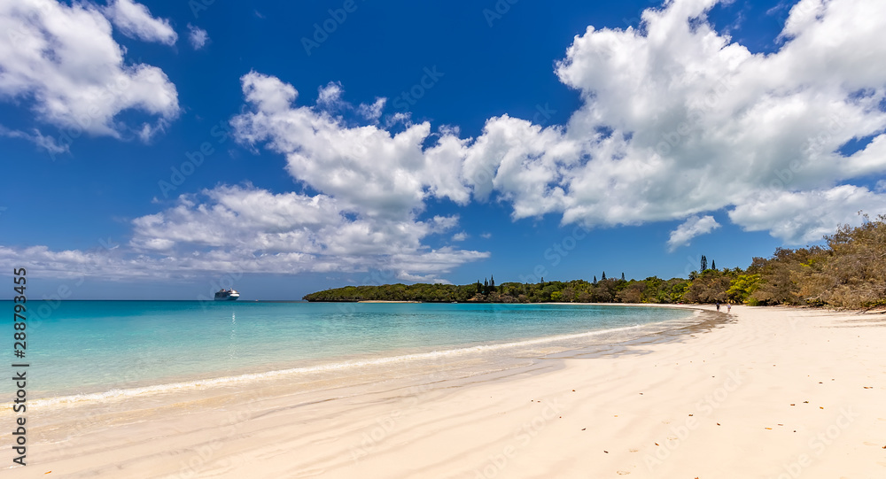 Beautiful tropical beach with a cruise ship anchored in the distance