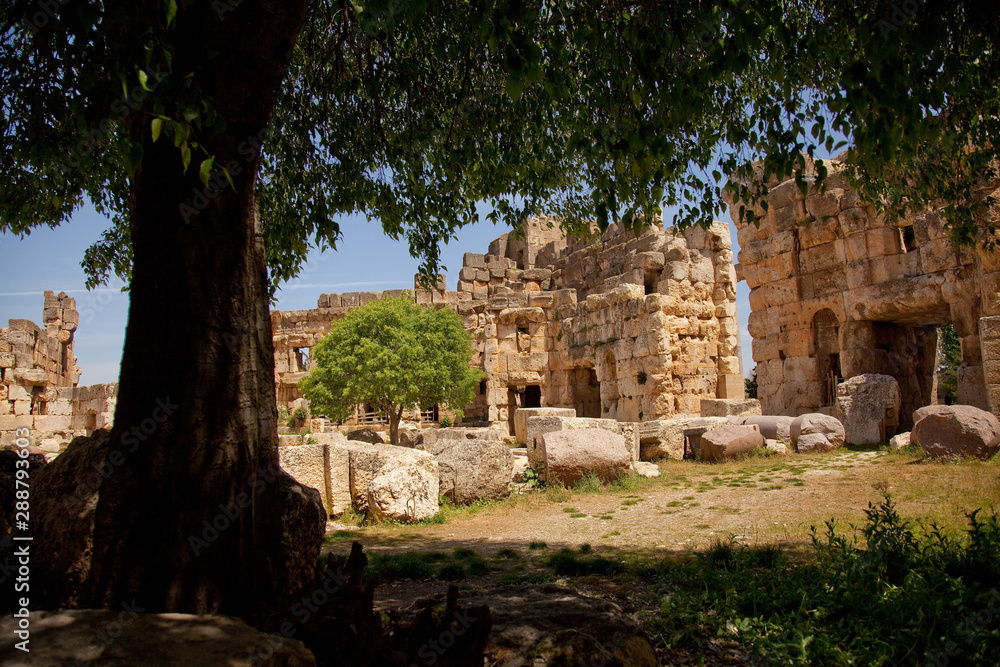 Baalbeck, Lebanon: Ancient Roman Ruins and Columns