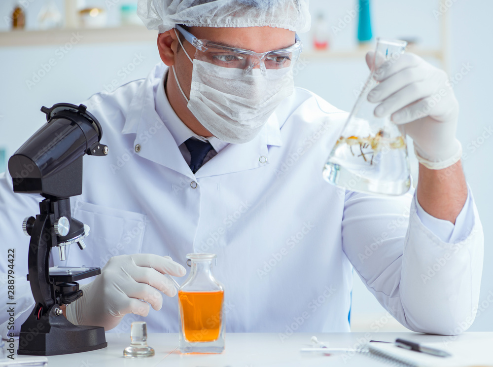 Chemist mixing perfumes in the lab Chemist mixing perfumes in the lab