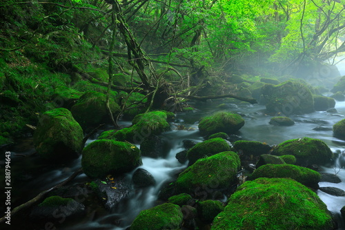 夏の元滝伏流水