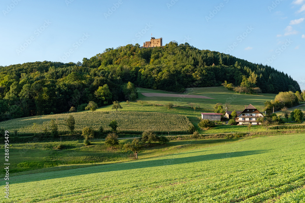 Obraz premium The ruin of castle Hohengeroldseck on top of a hill in the Black Forest, Germany
