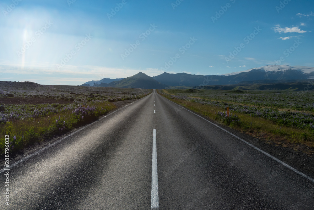 Fototapeta premium Empty national street N1 in southern Iceland