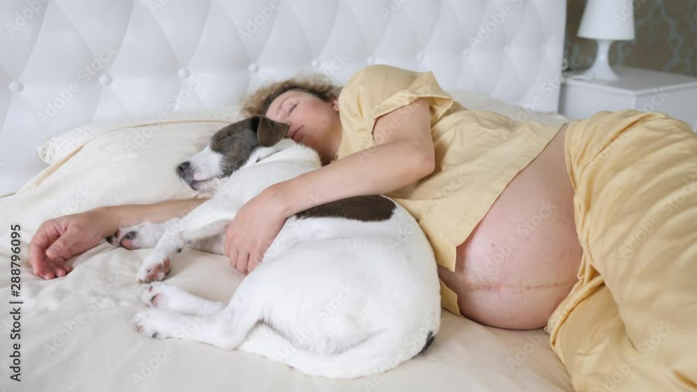 Pets, Pregnancy, Family Concept. Happy Pregnant Woman Sleeping With Her Dog. Pets, Pregnancy, Family Concept. Happy Pregnant Woman Sleeping With Her Dog.
