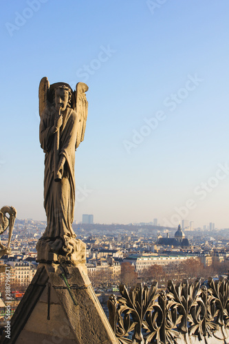 View from the towers of the Notre Dame Cathedral in Paris, France