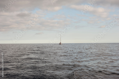 sailboat on the sea