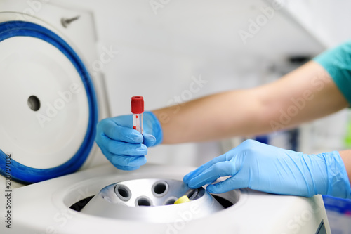 Lab woman puts in a centrifuge tube of blood. General blood tests, biochemistry tests and trace elements. © Maria Sbytova