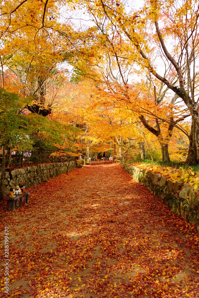 Naklejka premium 長寿寺 境内