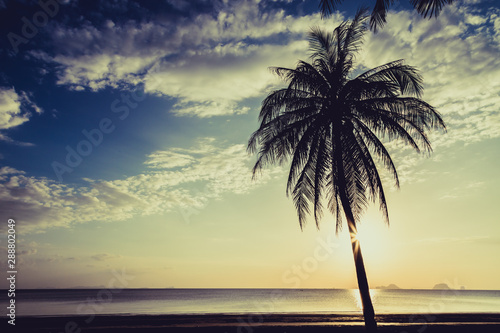 Siluate coconut tree on the beach