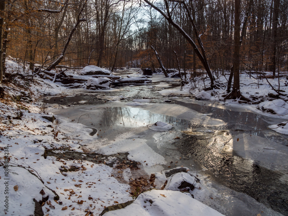 Winter Forest Landscape, Icy Creek, Snowy Woods Winter Forest Landscape, Icy Creek, Snowy Woods