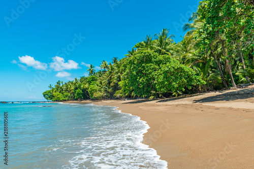 Fototapeta Naklejka Na Ścianę i Meble -  A Pacific Ocean wave on a tropical beach inside Corcovado national park, Osa Peninsula, Costa Rica, Central America.