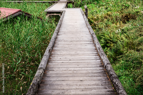 湖にかかる橋 bridge