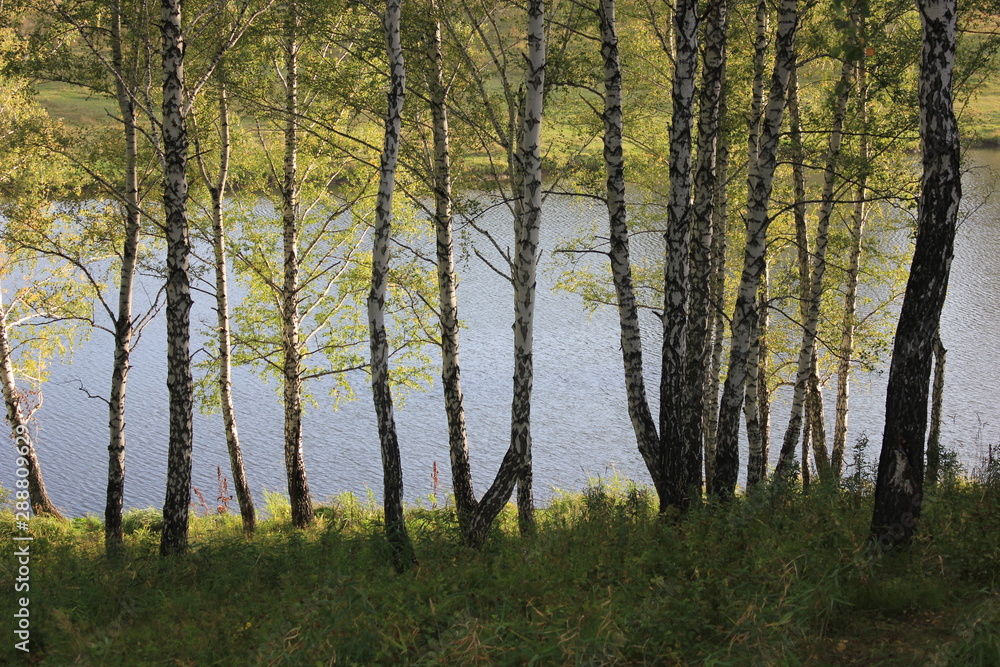 Obraz premium Nature