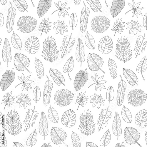 Leaves of tropical plants black and white outline seamless pattern © kronalux