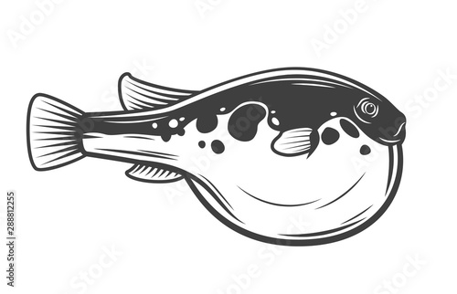 Isolated vector Purrerfish. Japanese fugu fish