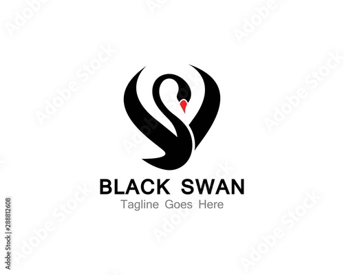 Swan logo creative icon template vector illustration design concept
