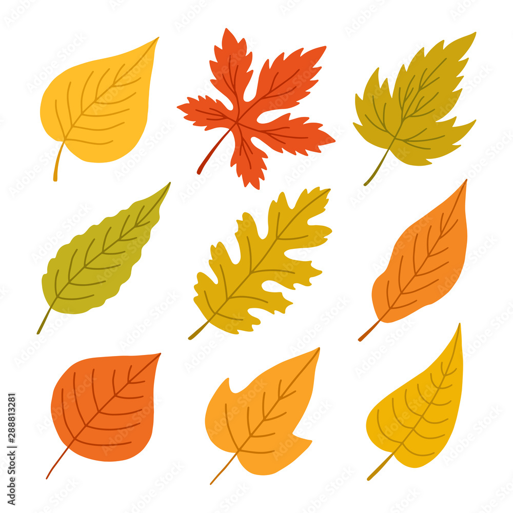 Set of autumn leaves. Set of autumn leaves.