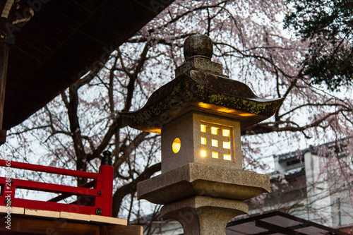 明りが灯る石灯籠と桜 © sigmaphoto