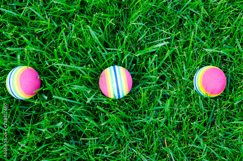 Colored little balls for cats, dogs on green grass.