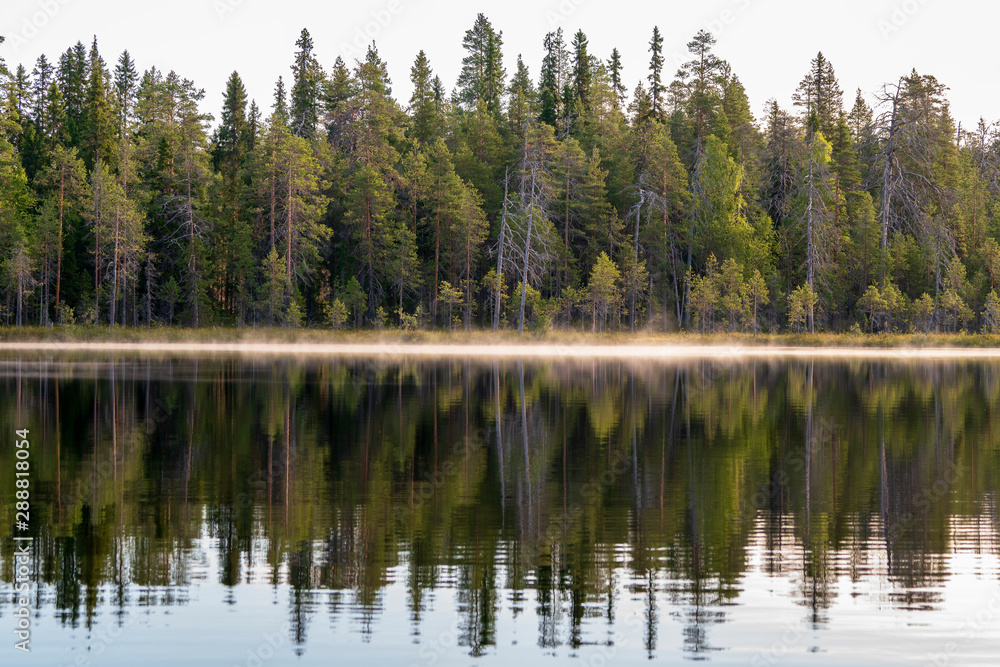 Autumn with mirrored pine forest and misty Northern lake. Fog rises above the water at dawn. Finland, Scandinavia