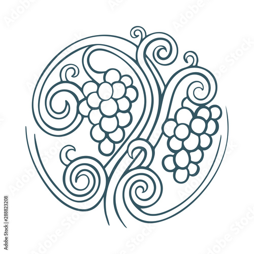 Grape. Hand drawn grape and vine engraving style illustrations set. Bunch of grapes vector design element. Grape and vine logo and background. Wine theme grape and vine vintage style ornament. Part of