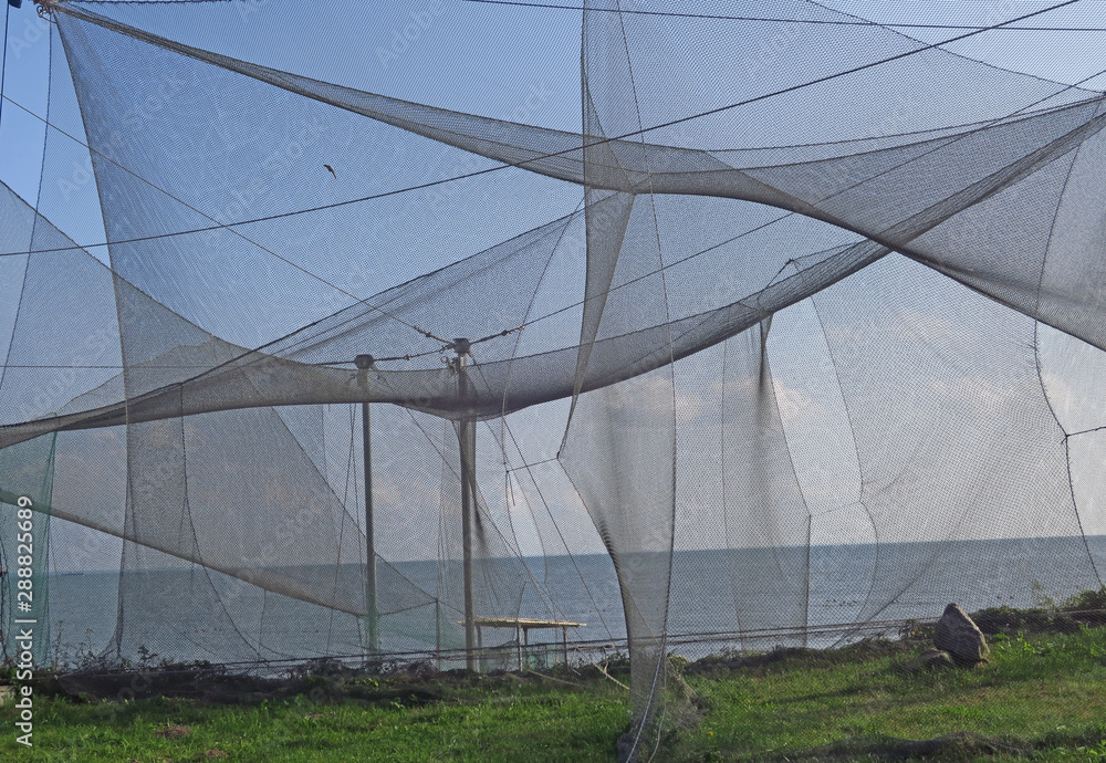 Fototapeta premium Nets in the birds ringing station in Vente cape, Lithuania
