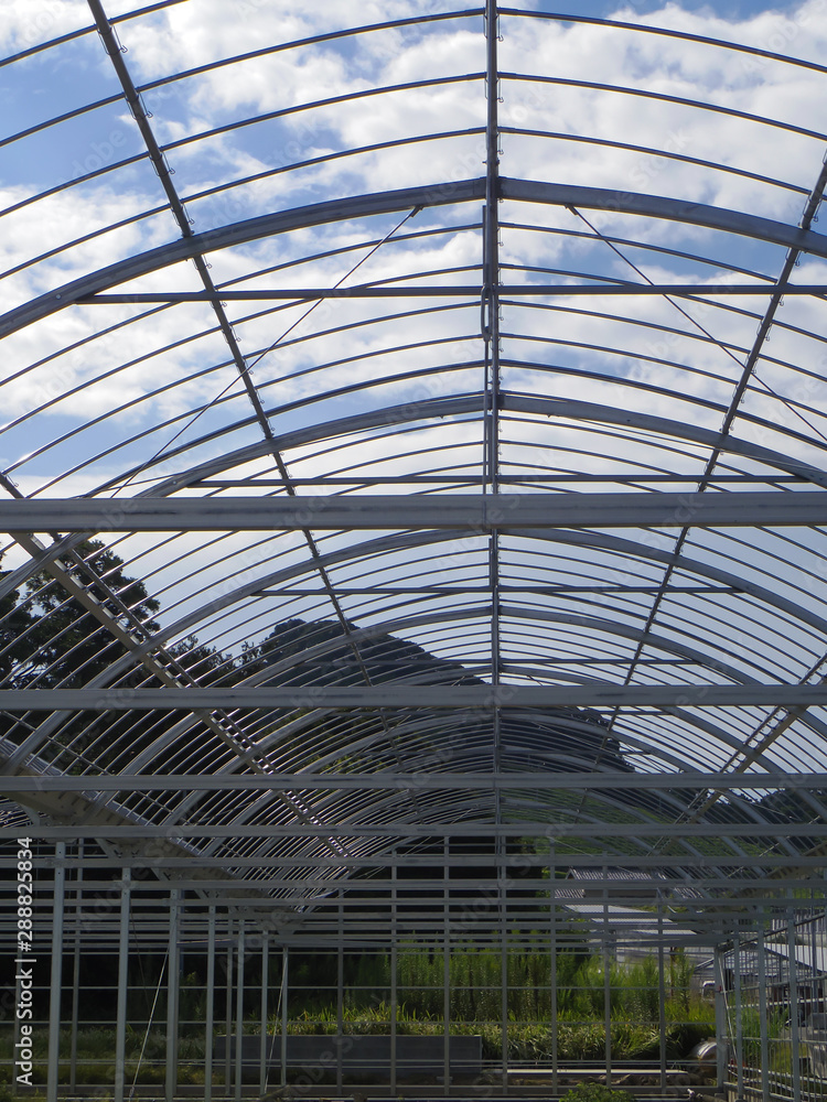 custom made wallpaper toronto digitalConstruction of a green house