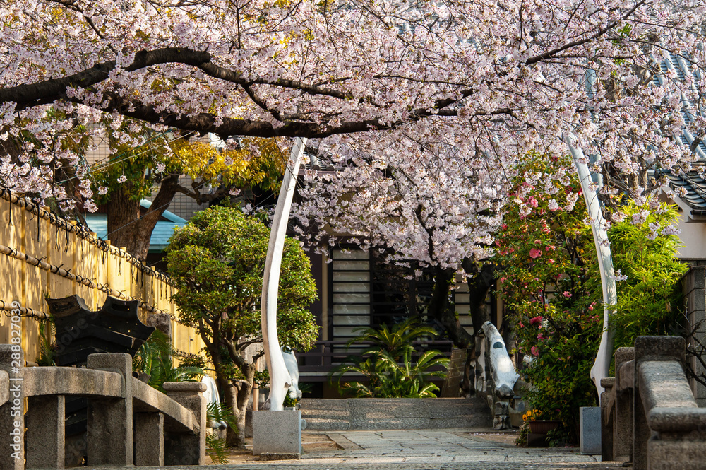 くじら神社」の写真素材 | 48件の無料イラスト画像 | Adobe Stock