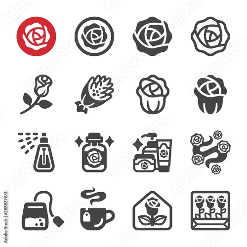 rose flower icon set,vector and illustration