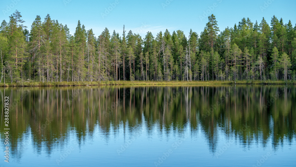 Autumn with mirrored pine forest and misty lake. Fog rises above the water at dawn. Finland, Scandinavia