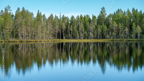 Autumn with mirrored pine forest and misty lake. Fog rises above the water at dawn. Finland, Scandinavia