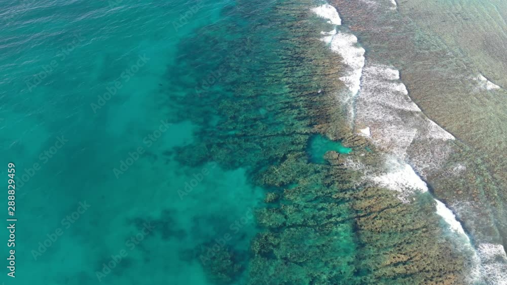 Aerial view of Ningaloo Reef, a coral reef in Western Australia