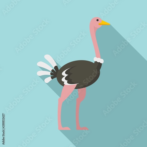 African ostrich icon. Flat illustration of african ostrich vector icon for web design photo