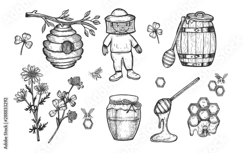 Composition with honey. Beekeeper in a special suit a jar of honey, honeycombs, a beehive on a branch, a spoon of honey, a wooden barrel with honey. Vector graphics. Hand drawing. Eps