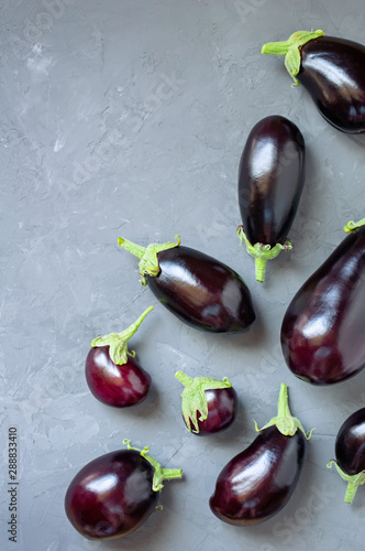 Ripe eggplants of different sizes on a gray concrete background. Top view. photo