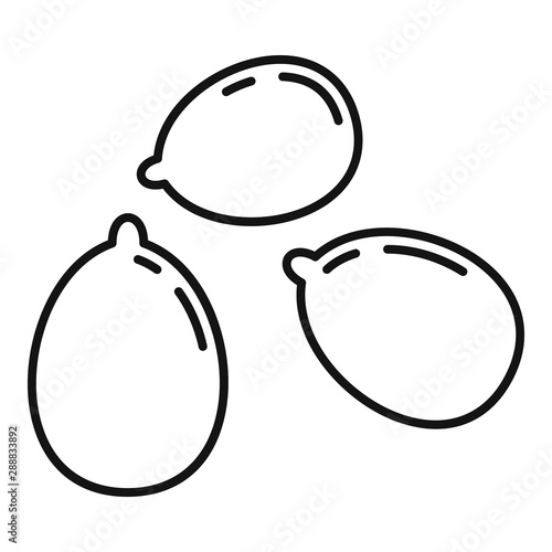 Pumpkin seed icon. Outline pumpkin seed vector icon for web design isolated on white background