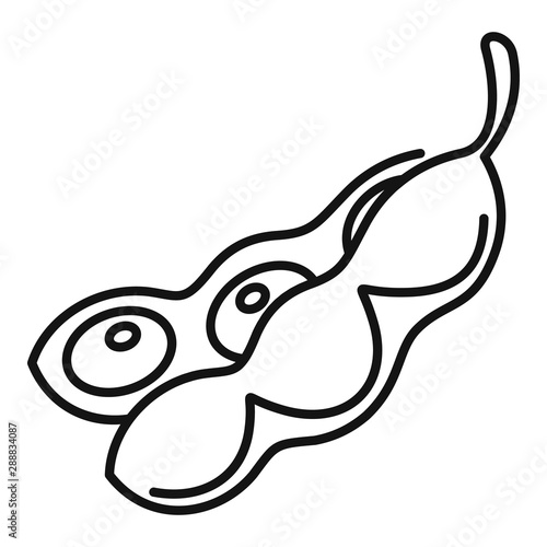 Beans icon. Outline beans vector icon for web design isolated on white background