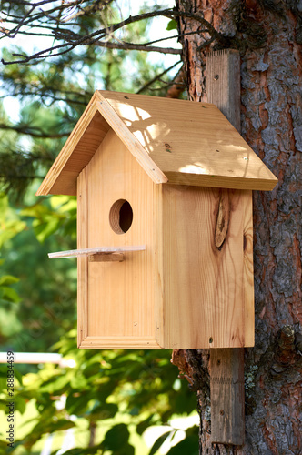 wooden birdhouse in the forest on the tree for small birds