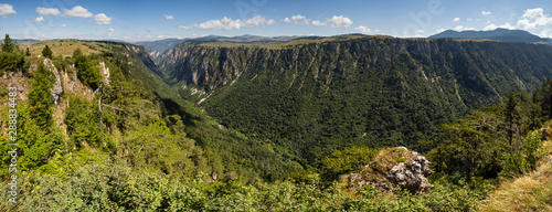 Summer Tara Canyon in mountain Durmitor National Park, Montenegro