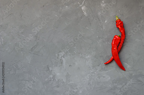 Two hot peppers chilli or chilli on a gray background. Spicy food concept, top view.