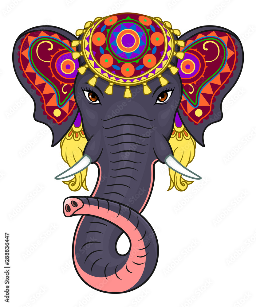 Obraz premium Indian elephant face