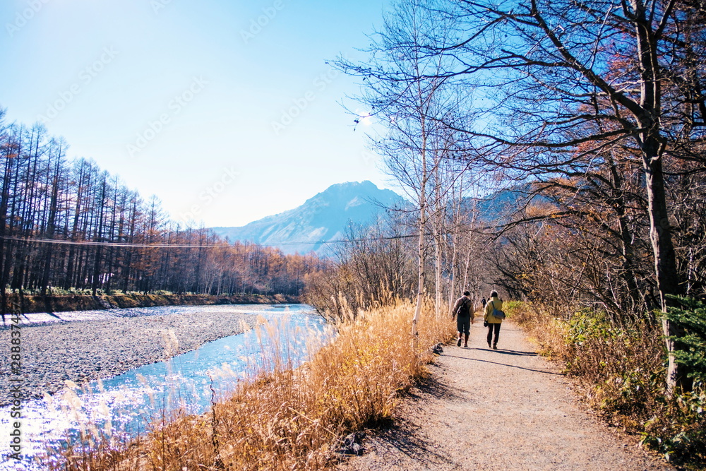 Couple friends walking and talking together on street walkway in the natural park near river with leaves colors change in fall season at kamikochi , Japan.